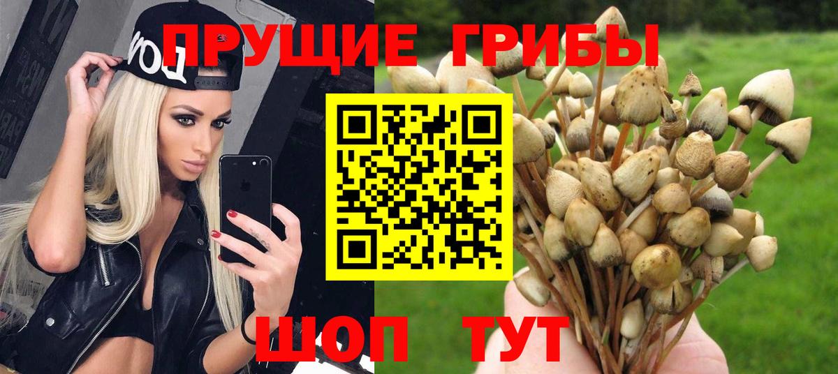 Новосибирск  Галлюциногенные грибы мухоморы  Вход с VPN 